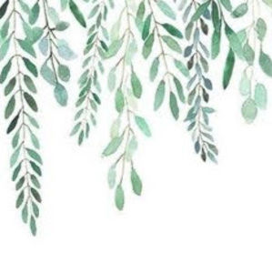 Meet your Posher, Lexi